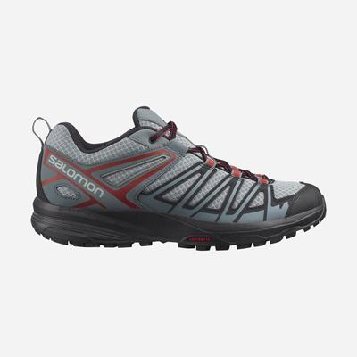Men's Salomon X CREST Hiking Shoes Grey | SA28567-285