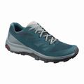 Blue/Grey