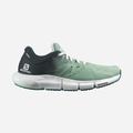 Grey Green/Deep Green/Light Green