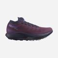 Purple/Blue
